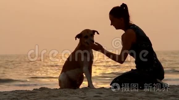 女孩和她的狗握手
