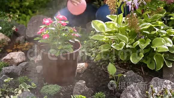 园丁在花上喷水