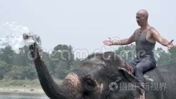 人类给大象洗澡视频