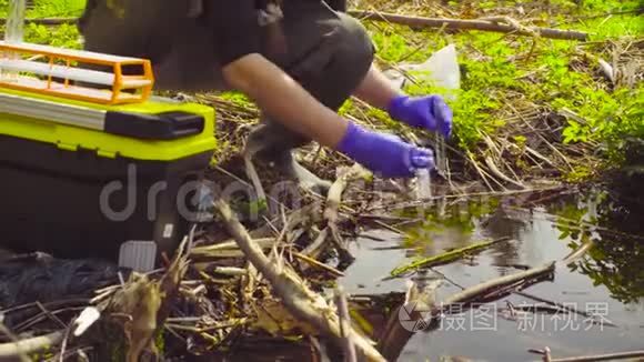 森林科学家生态学家采集水样视频