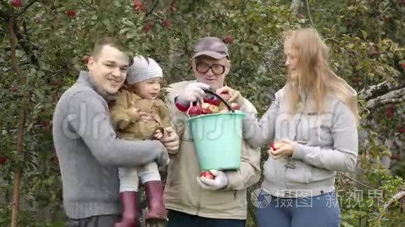 一家人在果园里摘苹果视频