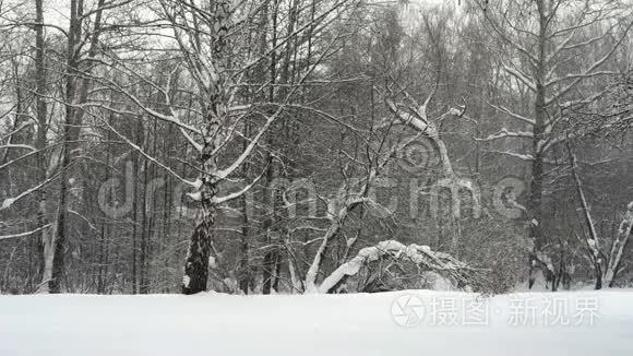 抽象模糊的灯光描绘城市的夜晚视频