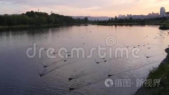 水流和波浪时间圈圈颜色视频