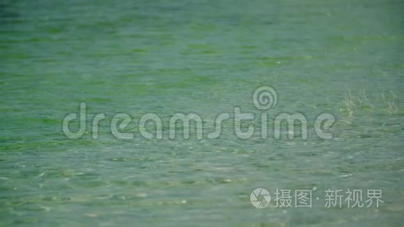 海水波浪和海水视频