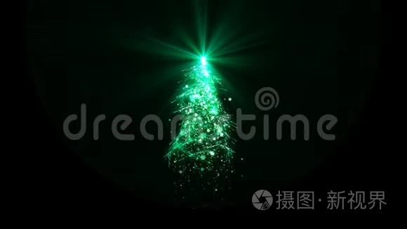 圣诞树上有绿色的闪亮的灯光，雪花和星星