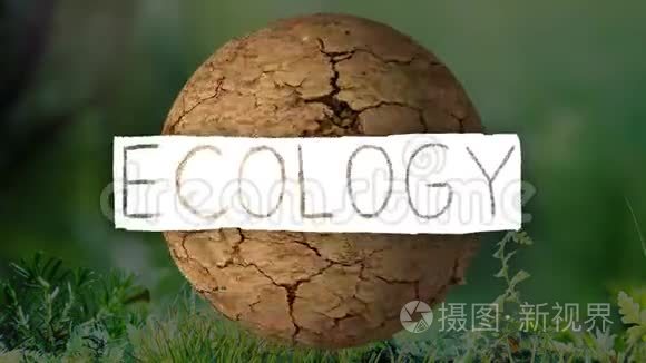 带有生态主题背景的动画标志视频