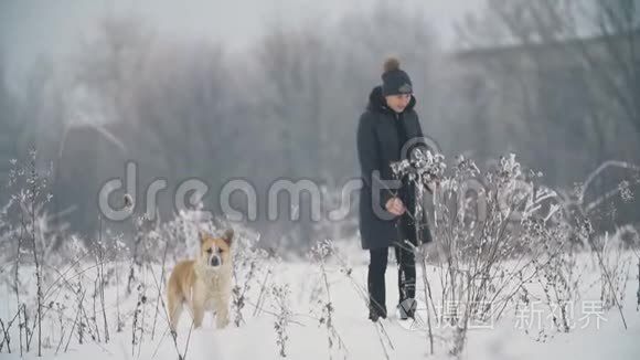 带着狗走路的女人视频