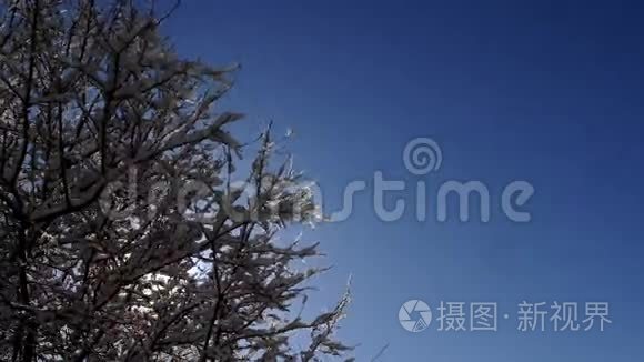 太阳融化雪时间流逝视频