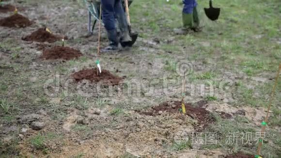 人们种植树莓种植园视频