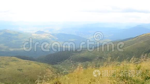 夏天在山上被风吹动的普通草甸视频