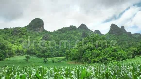 高清时间延时山和场放大视频