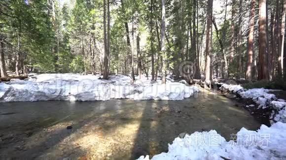 约塞米蒂国家公园有雪和森林的Merced河