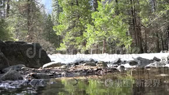 约塞米蒂国家公园有雪和森林的Merced河