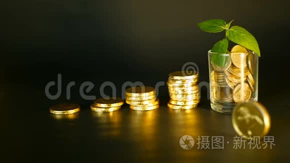 管理效率。 黑色背景上的金色硬币堆在满玻璃和绿叶上。 成功。