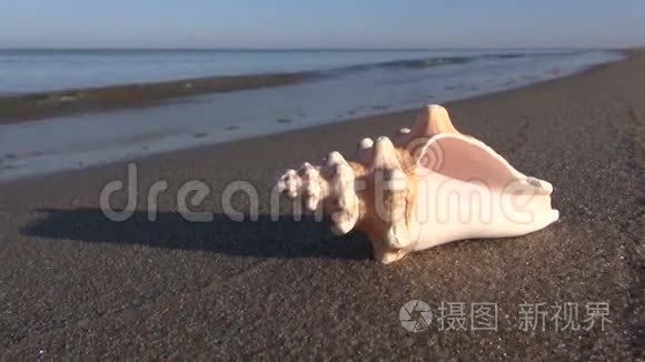 海边度假海滩沙滩贝壳视频