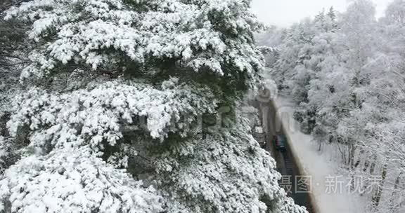 穿越森林的冬季道路的空中镜头视频