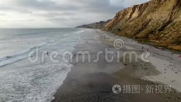 鸟瞰黑色海滩，托里松树。 加利福尼亚。 美国