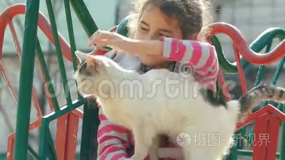 少女在户外操场抚摸一只猫