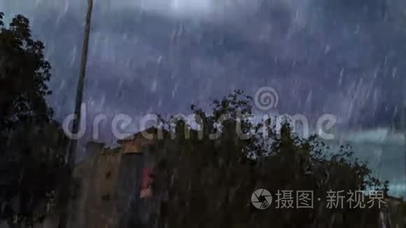大雨莫德伦商场后面的树视频