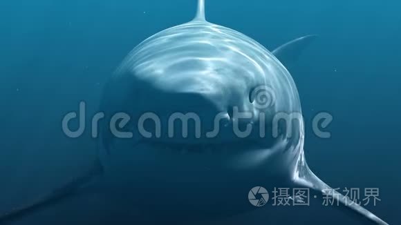 大白鲨巨龙。 真实三维动画4K