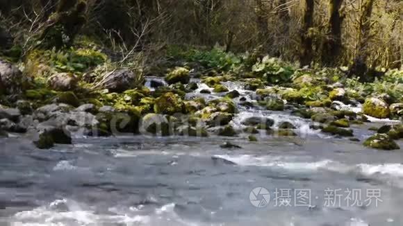 山河在树木之间