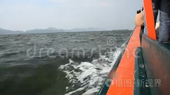 调查红树林西海岸视频