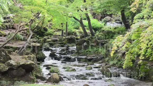 日本奈良土代寺花园内的瀑布视频