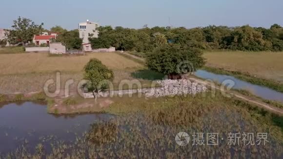 日落期间NinhBinh和TamCoc稻田的空中镜头-越南