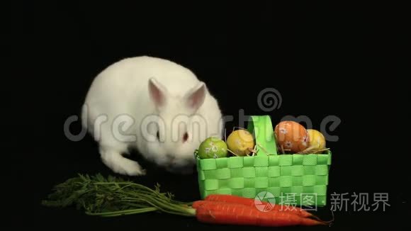 小白兔在一篮子复活节彩蛋和一根胡萝卜周围嗅嗅