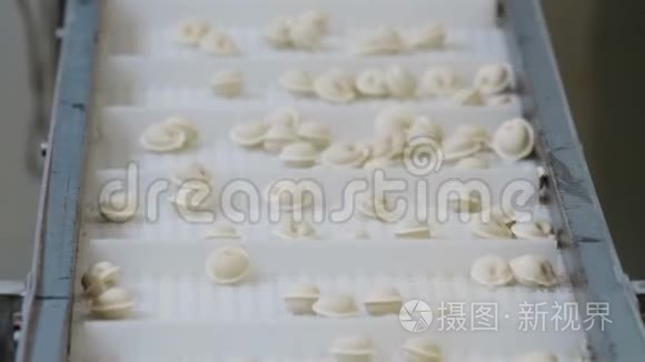 俄罗斯饺子自动生产线视频