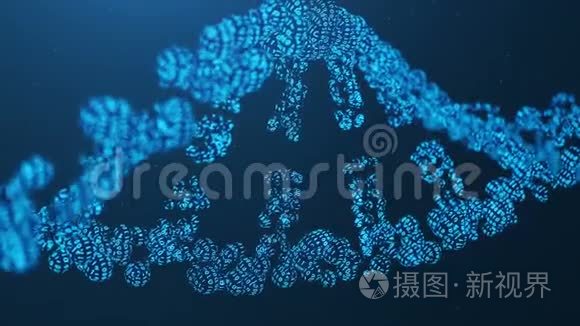 旋转的3D呈现人工整型DNA分子。 将DNA转换成二进制码.. 概念二进制基因组