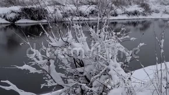 覆盖着大雪的树木视频