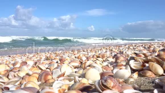 海浪带着贝壳翻过海岸