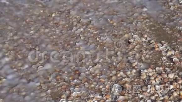 海浪带着贝壳翻过海岸视频