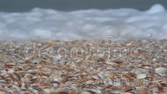 海浪带着贝壳翻过海岸