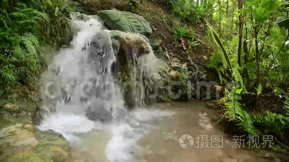印度尼西亚爪哇热带丛林瀑布视频