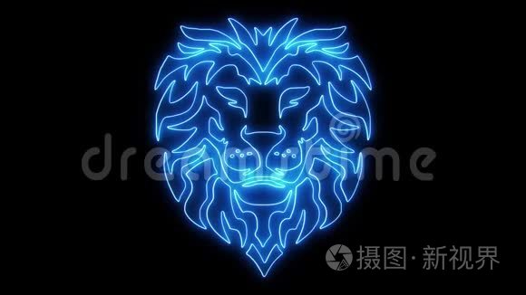 狮子圈视频素材