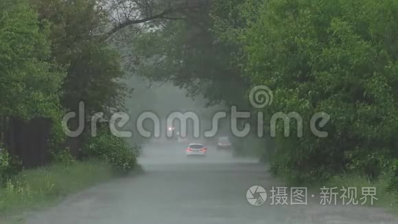 春天下大雨视频