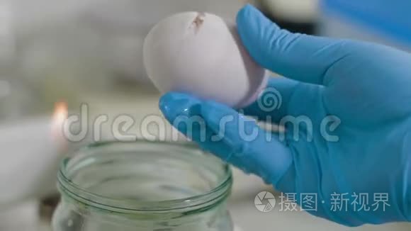 科学家在食品实验室做鸡蛋试验