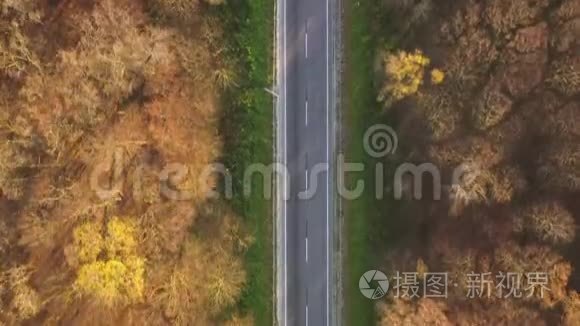 从高处看秋林环绕的道路