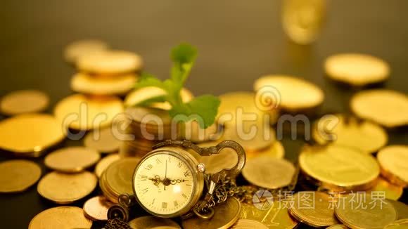 金钱利益视频素材