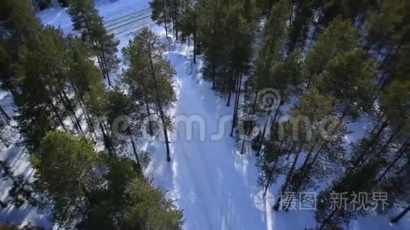 汽车在树林间的一条冬天的路上行驶