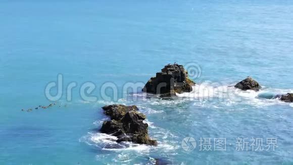 海洋火山岩上海鸟的景观视频