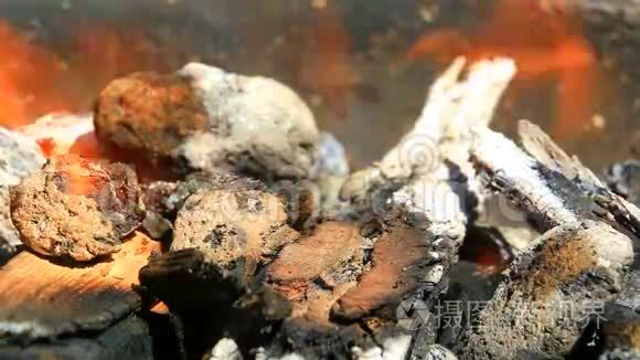 在壁炉里烧木头视频