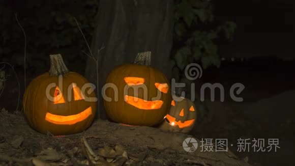 万圣节森林里的南瓜视频