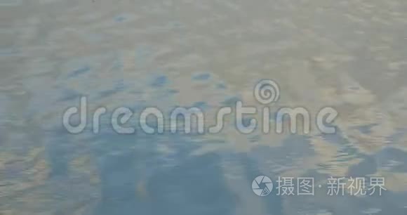 靠近平静的湖水视频