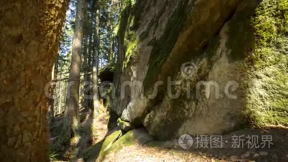 峡谷中的阴影布伦南克林视频