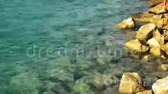 海滨附近的岩石视频