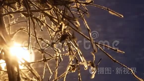 夜灯落雪.