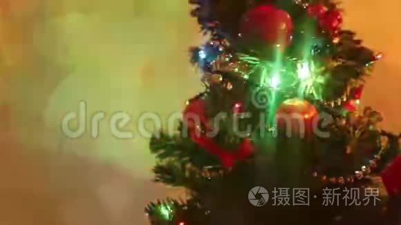 美丽的小圣诞树